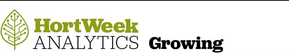 Growing salary report